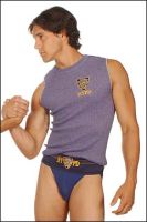 Filename=nypdbluemuscleshirttall.jpgFilesize=23KiBDimensions=240x360Date added=Jan 29, 2009 nypdbluemuscleshirttall.jpg