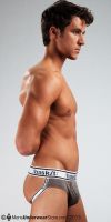 Filename=BTL1000CGRY-B600.JPGFilesize=172KiBDimensions=600x1200Date added=Mar 27, 2013 BTL1000CGRY-B600.JPG