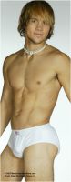 Filename=GO2017W-R600.JPGFilesize=406KiBDimensions=600x1525Date added=Jan 29, 2009 GO2017W-R600.JPG