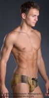 Filename=N2P36GOLD-S600.jpgFilesize=171KiBDimensions=600x1200Date added=Apr 20, 2010 N2P36GOLD-S600.jpg