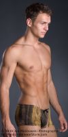 Filename=N2P37GOLD-S600.jpgFilesize=171KiBDimensions=600x1200Date added=Apr 20, 2010 N2P37GOLD-S600.jpg