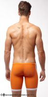 Filename=N2PT6ORANGE13-B600.jpgFilesize=155KiBDimensions=600x1200Date added=Jun 04, 2013 N2PT6ORANGE13-B600.jpg