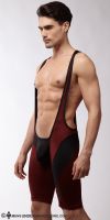 N2R16MAROON13-S600.jpg