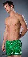 Filename=WS12GREEN-S600.jpgFilesize=167KiBDimensions=600x1200Date added=Oct 25, 2011 WS12GREEN-S600.jpg