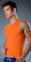 Filename=WS302ORANGE-S600.jpgFilesize=189KiBDimensions=600x1200Date added=May 04, 2011 WS302ORANGE-S600.jpg