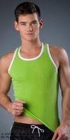 Filename=WS304LIMEWHT-F600.jpgFilesize=185KiBDimensions=600x1200Date added=May 04, 2011 WS304LIMEWHT-F600.jpg