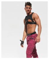 Filename=VADIR_HARNESS2_L_love_it.jpgFilesize=573KiBDimensions=966x1158Date added=Apr 08, 2014 VADIR_HARNESS2_L_love_it.jpg