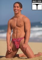 Filename=md57zz.jpgFilesize=30KiBDimensions=350x500Date added=Feb 02, 2009 md57zz.jpg