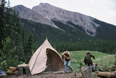 05103 Brokeback Mountain Gyllen