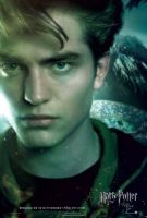 Filename=cedric.jpgFilesize=21KiBDimensions=270x400Date added=Aug 02, 2009 cedric.jpg