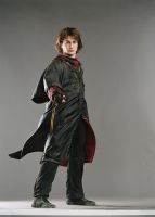 Filename=gof_harrywand.jpgFilesize=99KiBDimensions=1000x1391Date added=Jan 25, 2008 gof_harrywand.jpg