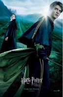 Filename=lp_harrypotter401.jpgFilesize=123KiBDimensions=600x928Date added=Jan 25, 2008 lp_harrypotter401.jpg