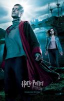 Filename=lp_harrypotter404.jpgFilesize=120KiBDimensions=600x936Date added=Jan 25, 2008 lp_harrypotter404.jpg