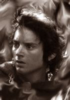 Filename=frodopuzzle.jpgFilesize=190KiBDimensions=471x666Date added=Nov 20, 2007 frodopuzzle.jpg