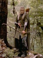 lotr081204_03.jpg