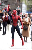 Filename=Spidermana_Devan_1048758_400.jpgFilesize=41KiBDimensions=258x400Date added=Oct 15, 2007 Spidermana_Devan_1048758_400.jpg
