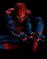 Filename=amazing-spiderman.jpgFilesize=52KiBDimensions=480x601Date added=Dec 28, 2012 amazing-spiderman.jpg