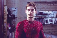 Filename=lookatmeimspideyvi-vi.jpgFilesize=32KiBDimensions=500x333Date added=Oct 15, 2007 lookatmeimspideyvi-vi.jpg