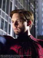 Filename=sm2_spider-man.jpgFilesize=89KiBDimensions=500x667Date added=Jun 23, 2010 sm2_spider-man.jpg