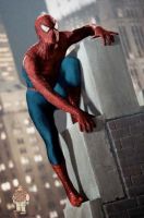 Filename=spider1.jpgFilesize=35KiBDimensions=331x501Date added=Oct 15, 2007 spider1.jpg