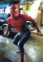 Filename=spider1a.jpgFilesize=25KiBDimensions=198x283Date added=Oct 15, 2007 spider1a.jpg