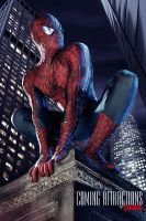 Filename=spiderman_costume2.jpgFilesize=83KiBDimensions=373x560Date added=Oct 15, 2007 spiderman_costume2.jpg