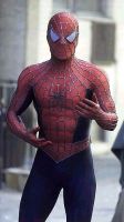 Filename=spidermancrocco.jpgFilesize=30KiBDimensions=282x500Date added=Oct 15, 2007 spidermancrocco.jpg