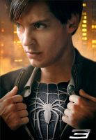 Filename=spidey3promopic.jpgFilesize=100KiBDimensions=490x710Date added=Dec 03, 2007 spidey3promopic.jpg