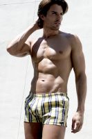 Filename=185yellow-plaid.jpgFilesize=109KiBDimensions=567x850Date added=Mar 25, 2009 185yellow-plaid.jpg