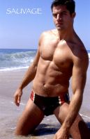Filename=201side_stripe_brief.jpgFilesize=57KiBDimensions=421x650Date added=Mar 25, 2009 201side_stripe_brief.jpg