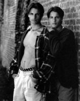 Filename=twins.jpgFilesize=20KiBDimensions=356x450Date added=Aug 10, 2009 twins.jpg