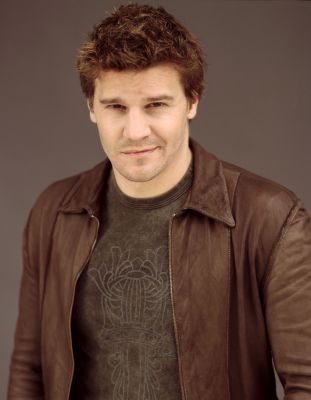 15293 David Boreanaz 4 122 432lo