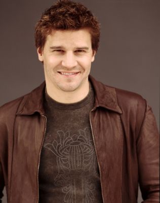 15377 David Boreanaz 5 122 247lo