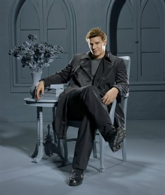 David Boreanaz