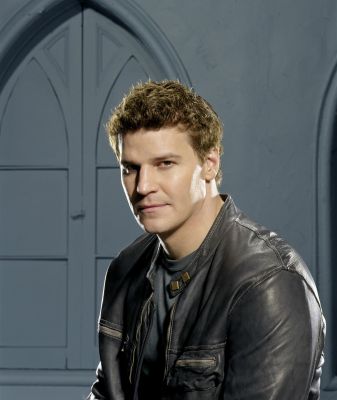 David Boreanaz (2)