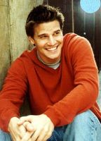 Filename=boreanaz1bg.jpgFilesize=17KiBDimensions=250x346Date added=Nov 05, 2007 boreanaz1bg.jpg
