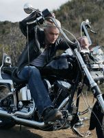 Filename=jamesmarsters102vu.jpgFilesize=415KiBDimensions=1143x1500Date added=Nov 05, 2007 jamesmarsters102vu.jpg