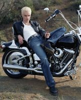 Filename=jamesmarsters118dd.jpgFilesize=553KiBDimensions=1211x1500Date added=Nov 05, 2007 jamesmarsters118dd.jpg
