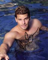 Filename=mag_david_173.jpgFilesize=83KiBDimensions=650x812Date added=Nov 05, 2007 mag_david_173.jpg
