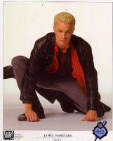 Filename=spike11.jpgFilesize=31KiBDimensions=419x518Date added=Nov 05, 2007 spike11.jpg