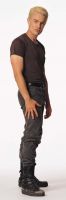 Filename=spike99_2.jpgFilesize=37KiBDimensions=400x1208Date added=Nov 05, 2007 spike99_2.jpg