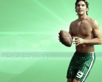 Filename=charlie3_1280x1024.jpgFilesize=689KiBDimensions=1280x1024Date added=Jan 21, 2008 charlie3_1280x1024.jpg