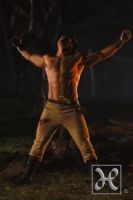 Filename=Hercules_lorez_011.jpgFilesize=7KiBDimensions=193x290Date added=Jan 30, 2008 Hercules_lorez_011.jpg
