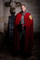 Filename=Merlin_S4_08.jpgFilesize=1788KiBDimensions=3413x5120Date added=Feb 03, 2014 Merlin_S4_08.jpg