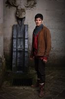 Filename=Merlin_S4_09.jpgFilesize=2009KiBDimensions=3413x5120Date added=Feb 03, 2014 Merlin_S4_09.jpg