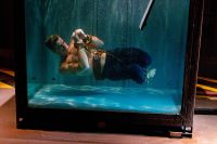 Filename=SM1009P-0009.jpgFilesize=1141KiBDimensions=2000x1334Date added=Jan 13, 2013 SM1009P-0009.jpg