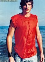Filename=welling02.jpgFilesize=186KiBDimensions=733x1000Date added=Jun 16, 2010 welling02.jpg
