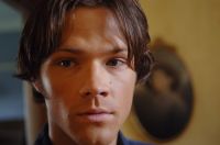 Filename=000dyw63.jpgFilesize=917KiBDimensions=3000x1993Date added=May 14, 2010 000dyw63.jpg