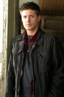 Filename=SN101-B-0003.jpgFilesize=85KiBDimensions=534x800Date added=May 14, 2010 SN101-B-0003.jpg