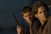 Filename=SN5-CA-0017.jpgFilesize=725KiBDimensions=3000x1995Date added=May 14, 2010 SN5-CA-0017.jpg